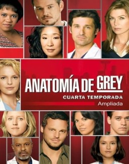 Anatomía de Grey saison 4