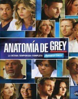 Anatomía de Grey saison 8