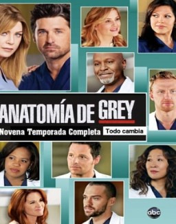 Anatomía de Grey saison 9