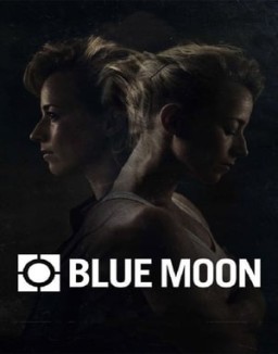 Blue Moon saison 1