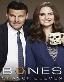 Bones