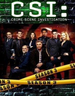 CSI: Las Vegas saison 3