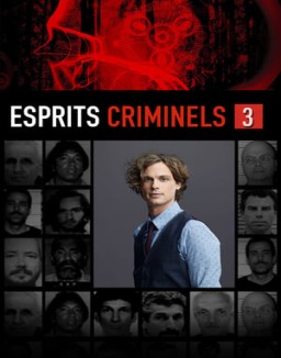 Mentes criminales saison 3