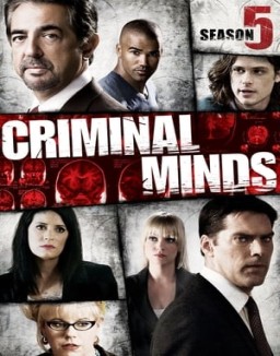 Mentes criminales saison 5