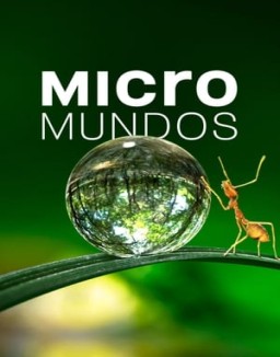 Micromundos saison 1