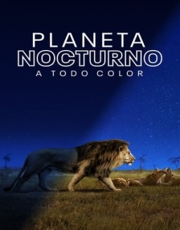 Planeta nocturno: a todo color